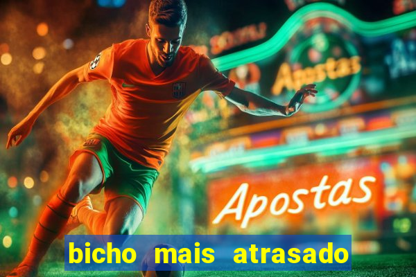 bicho mais atrasado na bahia